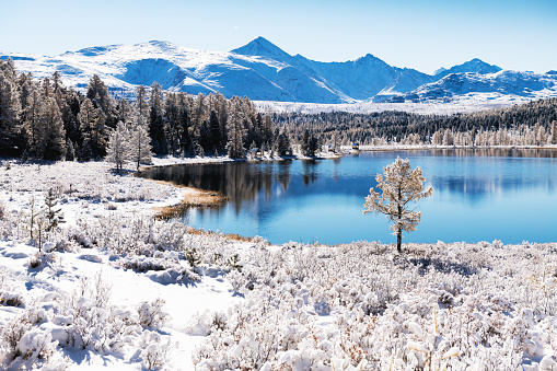 Kidelu lake in Altai mountains, Siberia, Russia. First snow in the autumn forest. Snow-covered trees and mountains.