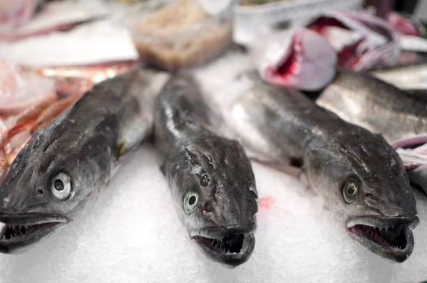 istock At the fish market 153019688