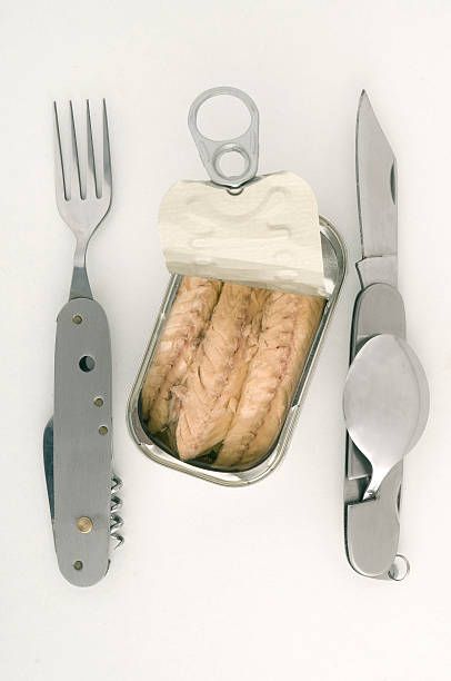 conserved fish with knife and fork stock photo
