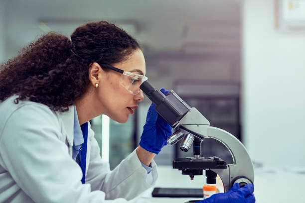 istock Side view of female scientist looking through microscope at work desk 1530245876