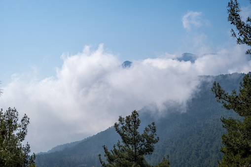 Nature landscape.Wide valley.Forested mountain landscape peak cloudy clear sky.