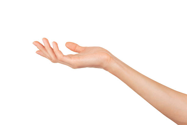 istock Woman's hand out asking for something isolated on white 153029525
