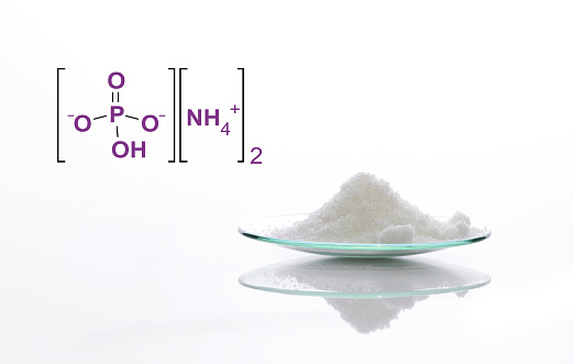 Closeup chemical ingredient on white laboratory table. Di-Ammonium Prosphate in chemical watch glass with molecular structure. Side View