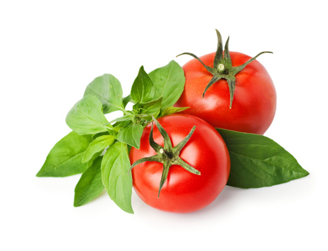 tomatoes and basil isolated on white.