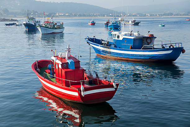 These traditional cages, called nasa in Spanish, are used to capture octupus, one of the most important seafood in Galicia.