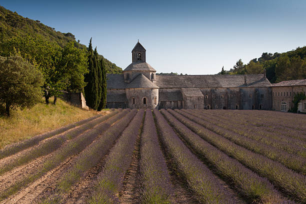 istock Abbey of Senanques 153035635