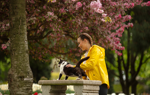 Young woman with yellow raincoat is playing with stray cat in spring.