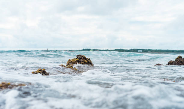 close-up image of ocean waves