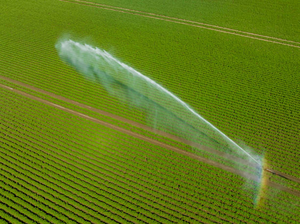 istock Irrigation pivot gun machinespraying water on a field 1530403706