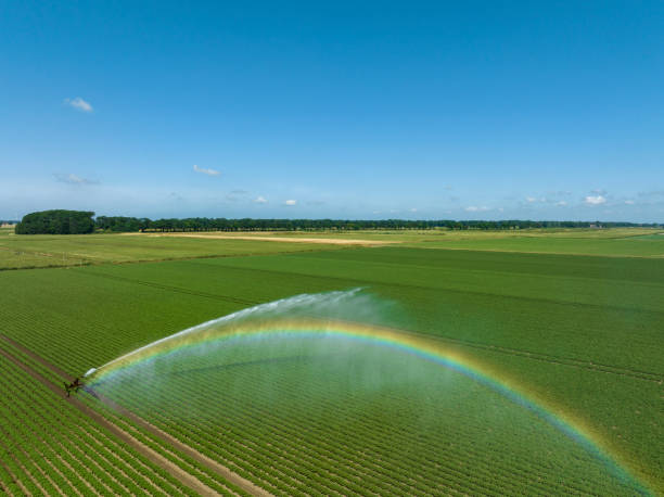 Irrigation pivot gun machinespraying water on a field