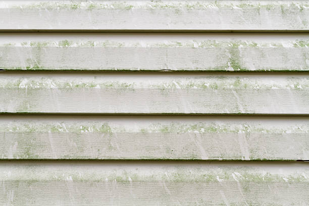 istock Dirty Vinyl Siding Needs Pressure Washing 153040611