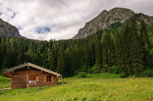 Alpine wooden hut stock photo