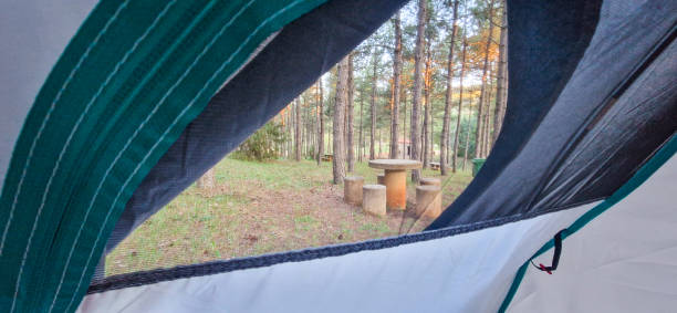 istock Concept sleeping in nature, view of a forest from the tent 1530408502