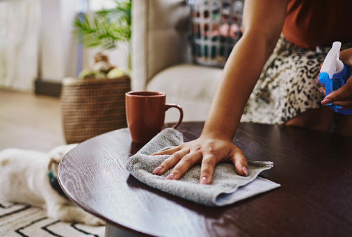 woman cleaning a table and drinking coffee with her dog on the carpet. Stock photo