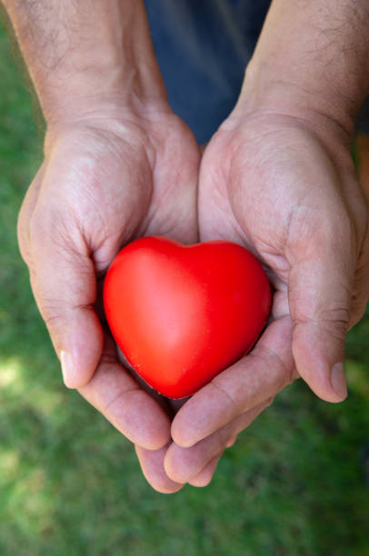 istock Hands holding red heart, blurred background 1530425823