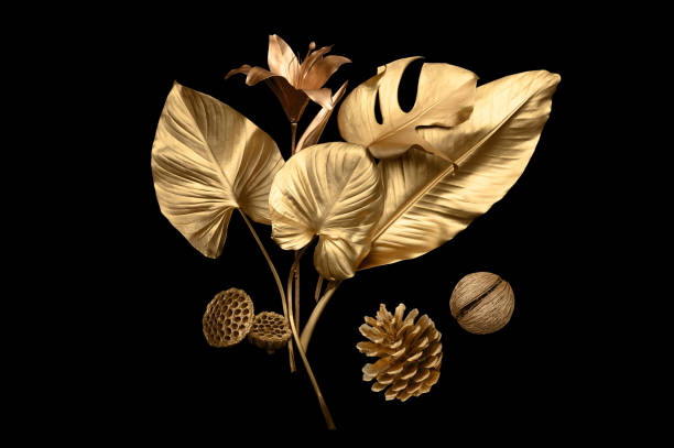 Tropical leaves gold and black, can be used as background(Monstera,palm,coconut)fern,clipping path