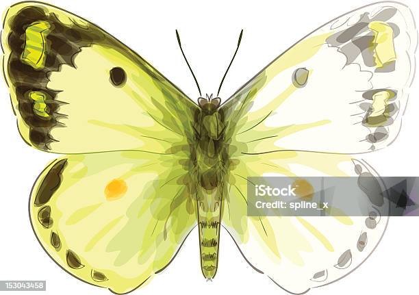 Butterfly Colias Erate Watercolor Imitation Stock Illustration - Download Image Now - Animal, Animal Body Part, Animal Wildlife