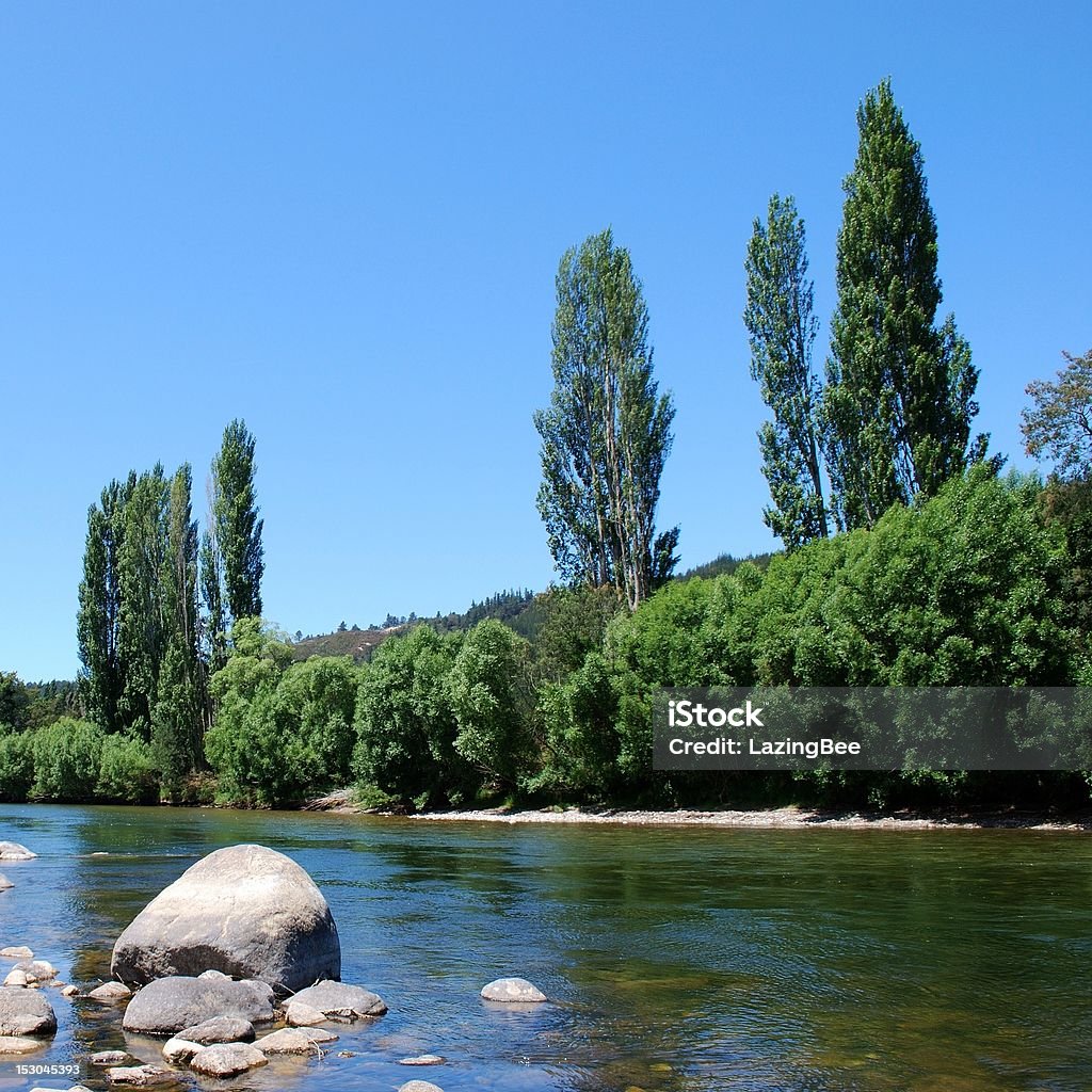 Motueka rivière, Tasman, Nouvelle-Zélande - Photo de Arbre libre de droits