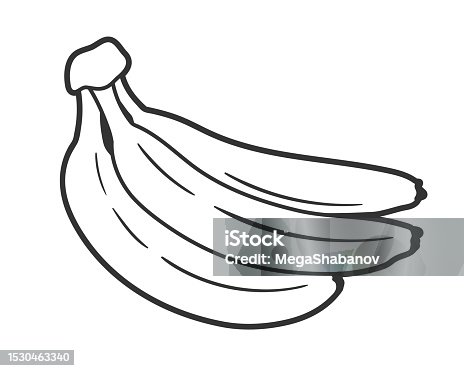 istock Line art of banana isolated on white background 1530463340