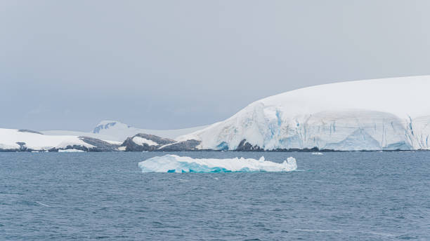 istock Floating iceberg in Antarctica Sea. Antarctic Peninsula 1530466348