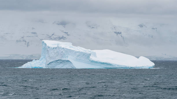istock Iceberg in antarctic ocean, antarctica, polar regions. 1530466506