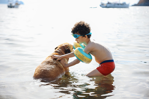 Little boy holding his dog at the beach