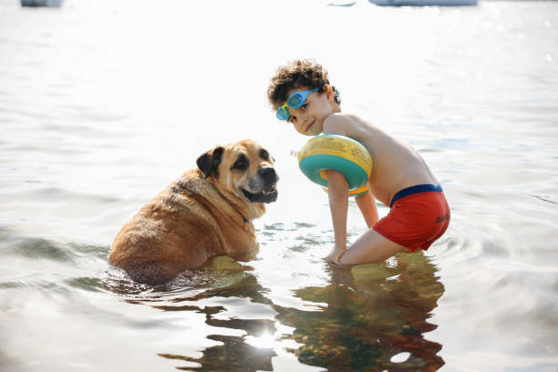 Little boy holding his dog at the beach