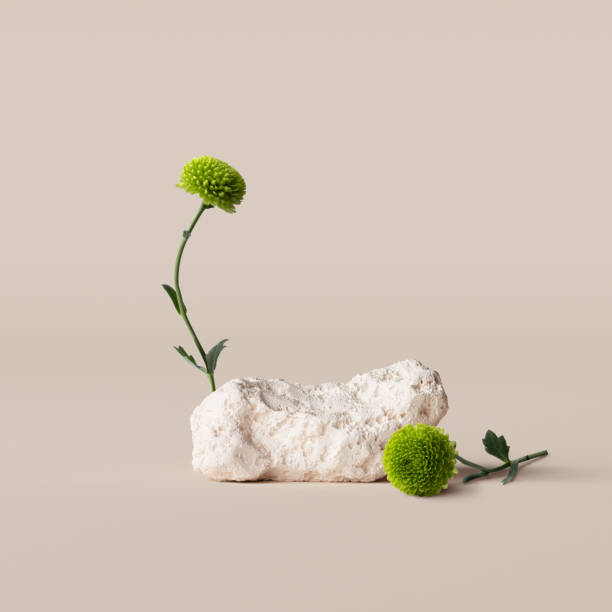 istock Stone podium and flower decoration, 3d rendering background. Cosmetic product display mockup 1530481061