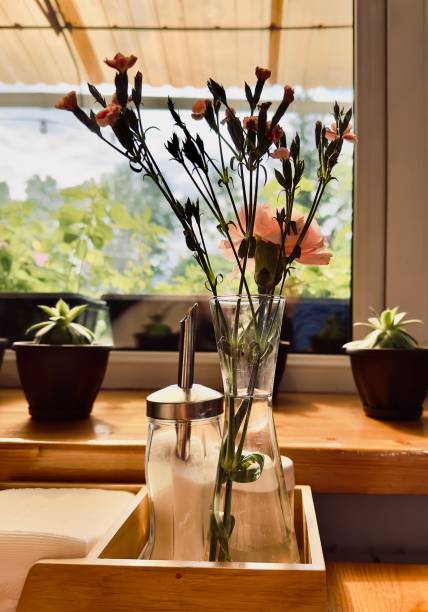 istock carnations in a transparent vase by the window 1530509757