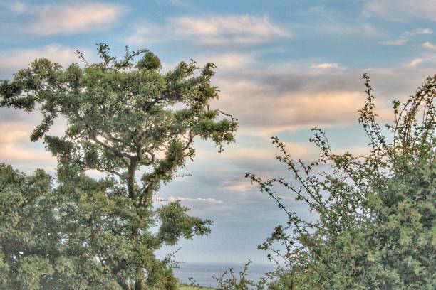 istock Evening Clouds by the sea. 1530511356