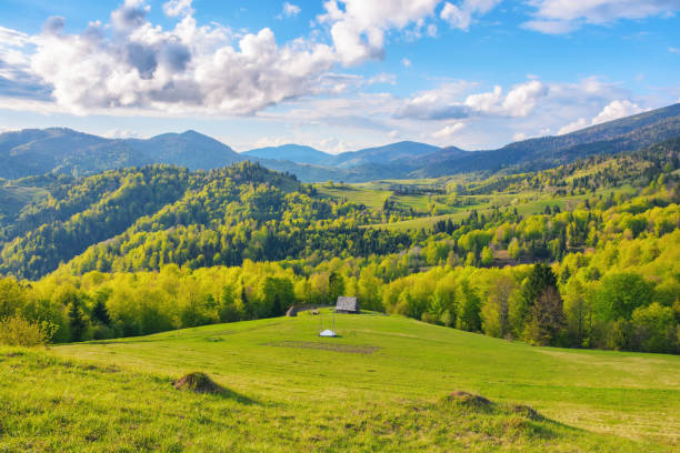 istock carpathian rural landscape in spring 1530523479