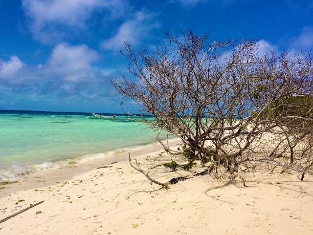 istock Archipel of Los Roques 1530535208