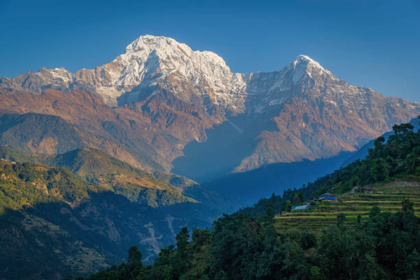istock Sunrise over mount Annapurna range, Himalayas, Nepal 1530539388