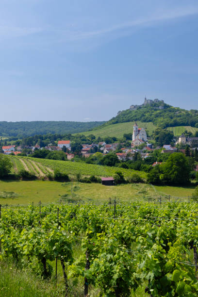 istock Falkenstein ruins and town with vineyard, Lower Austria, Austria 1530562620
