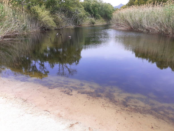 istock The beach of Geremeas where the homonymous river flows 1530573042