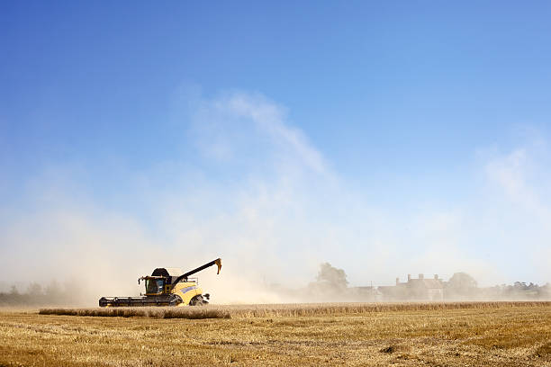 Combine Harvester stock photo