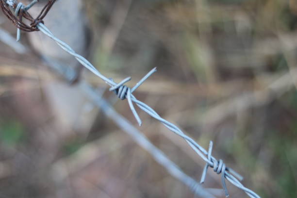 istock Barbed wire fence in closeup with blurred background 1530580535