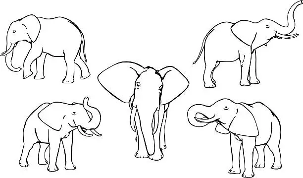 Vector illustration of Elephants