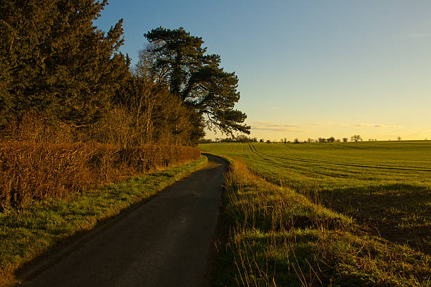 istock English Country lane 153061461