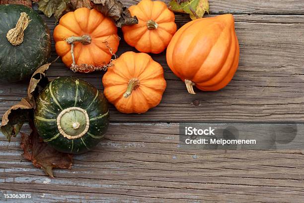 Autumn Pumpkins Stock Photo - Download Image Now - Acorn Squash, Agriculture, Autumn