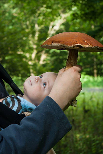 istock Little baby boy with big mushroom 153064176