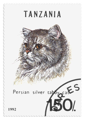 Tanzania - circa 1992: A stamp  shows image of a cat with the inscription \