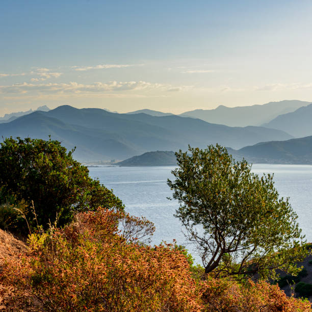istock Corsican coast in summer 1530648613