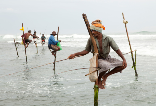 The stilt fishermen in the sea, Sri Lanka, Asia.