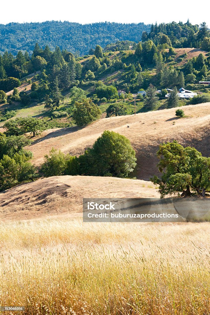 Califórnia Ranchland - Foto de stock de Agricultura royalty-free