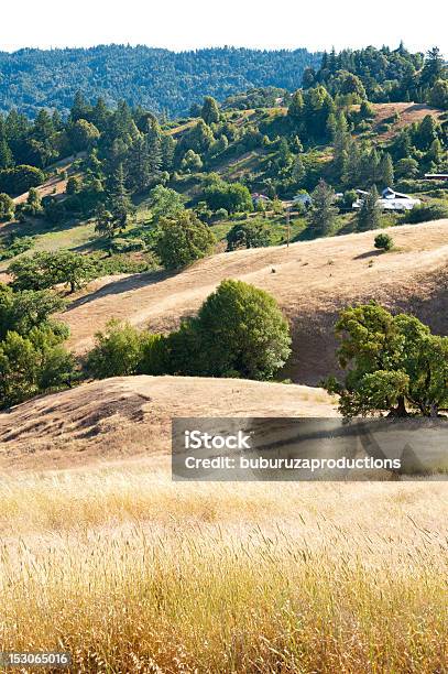 Foto de Califórnia Ranchland e mais fotos de stock de Agricultura - Agricultura, Califórnia, Casa