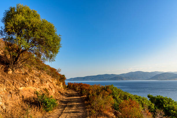 paysage du bord de mer en été en Corse du sud