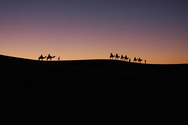istock Silhouette of Camel Caravan 153066477