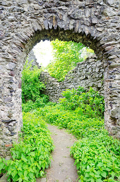 istock The ruins of Nevitsky castle 153066881
