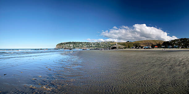 istock Sumner Beach near Christchurch 153067354